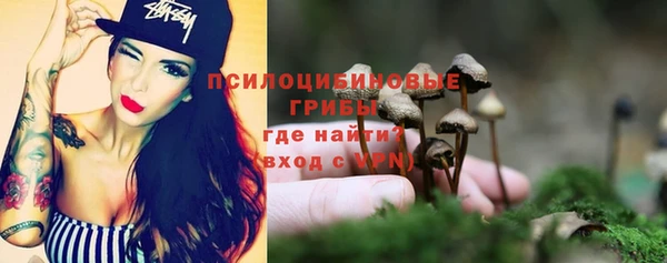 дживик Алзамай