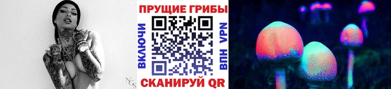 Псилоцибиновые грибы Psilocybine cubensis  Любим 